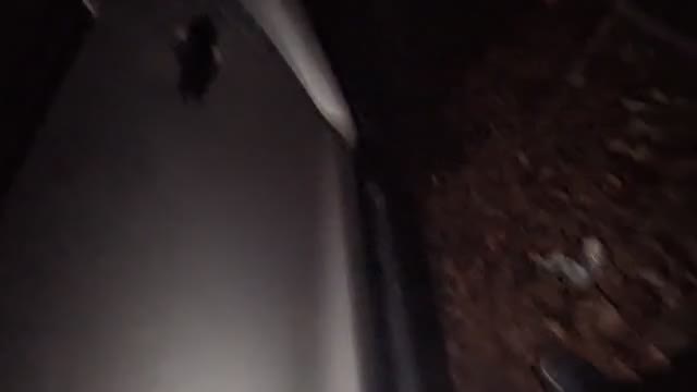 ベロチュー好き