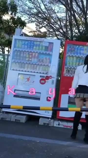 公園散歩のご報告②