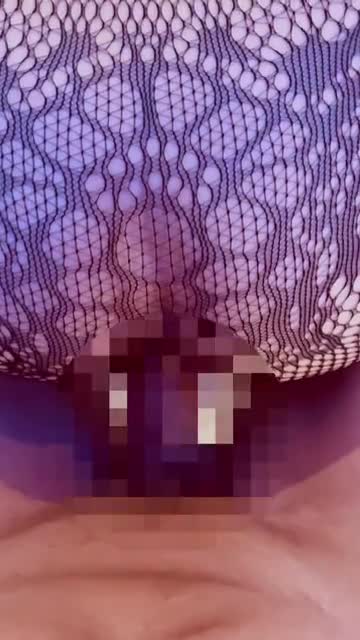 初めての網スーツ