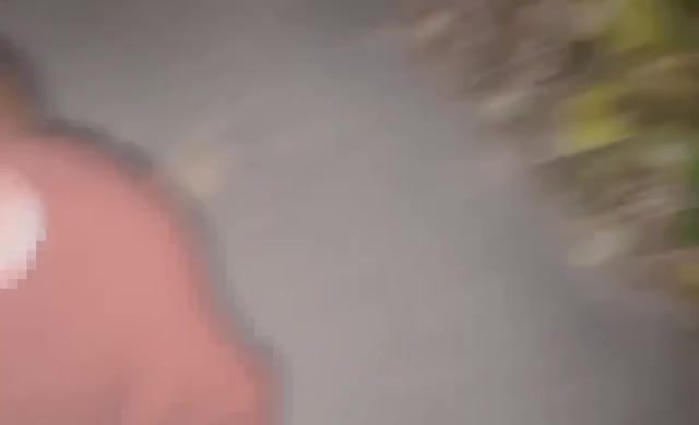 新幹線から丸見えだったかな