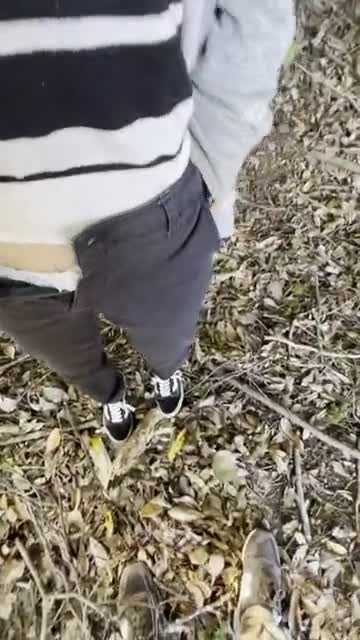 キンチョウー