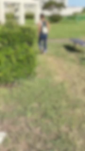 こちらの公衆便所