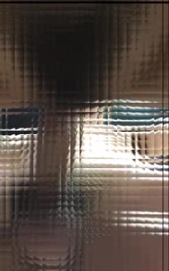 Xにツイートした動画からの抜粋(*^-^*)