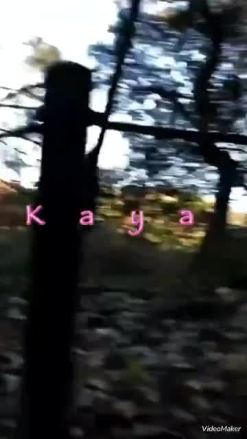 地味だけどドキドキしてます