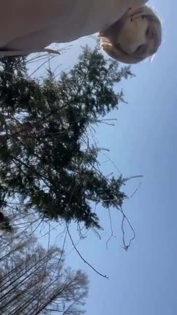 ドM女装子の林道全裸散歩