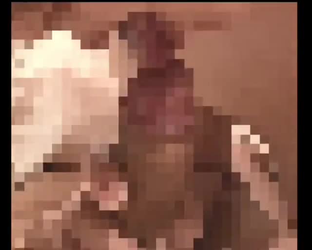 Xにツイートした動画からの抜粋(*^-^*)