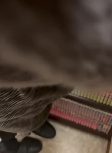 本棚コーナー寝取られの続きです（最後）