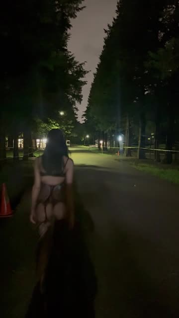 昨夜、K公園での露出プレイ