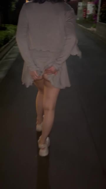 お散歩