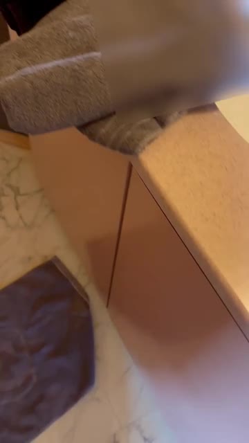 もう1匹来ました
