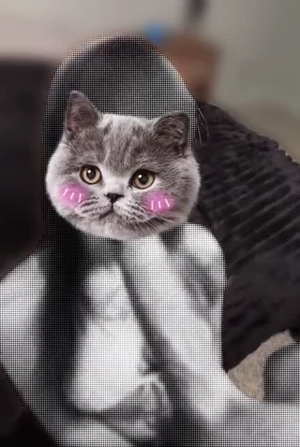 ダメ、近くで遊んでる