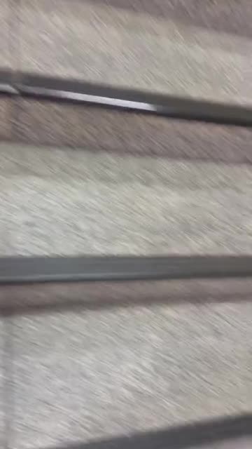 鍛えあげられた良いSiriですね〜