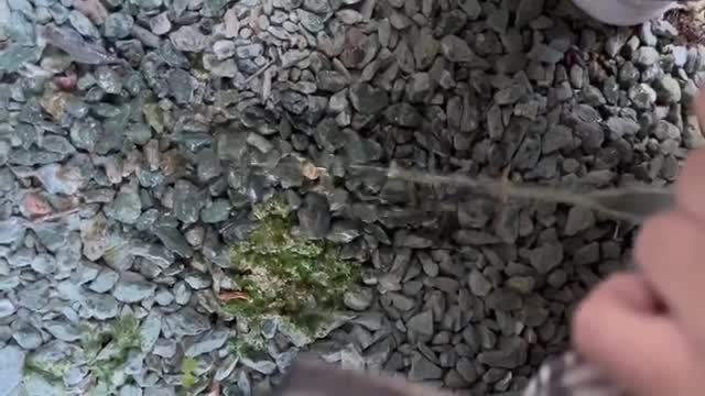 ドキドキして興奮しました