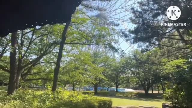 昼夜公園透け服での巨乳露出する女