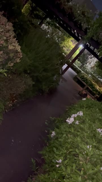都会の公園で