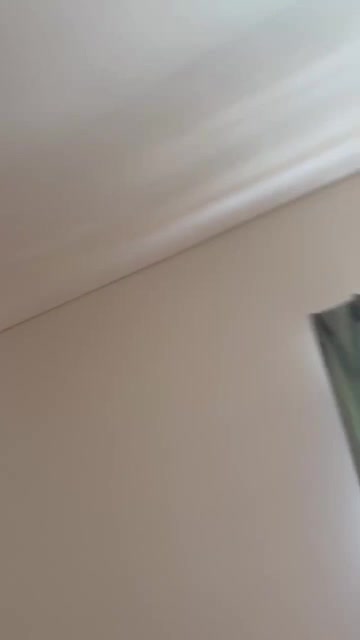 波乗り小屋集合