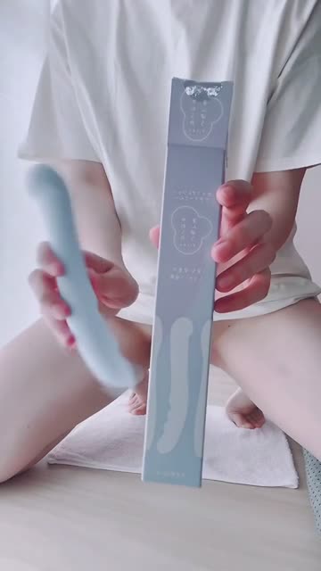 新しいおもちゃです