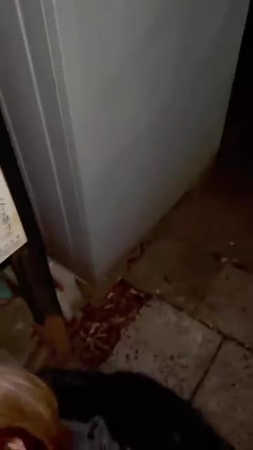 線路のすぐ横で性処理